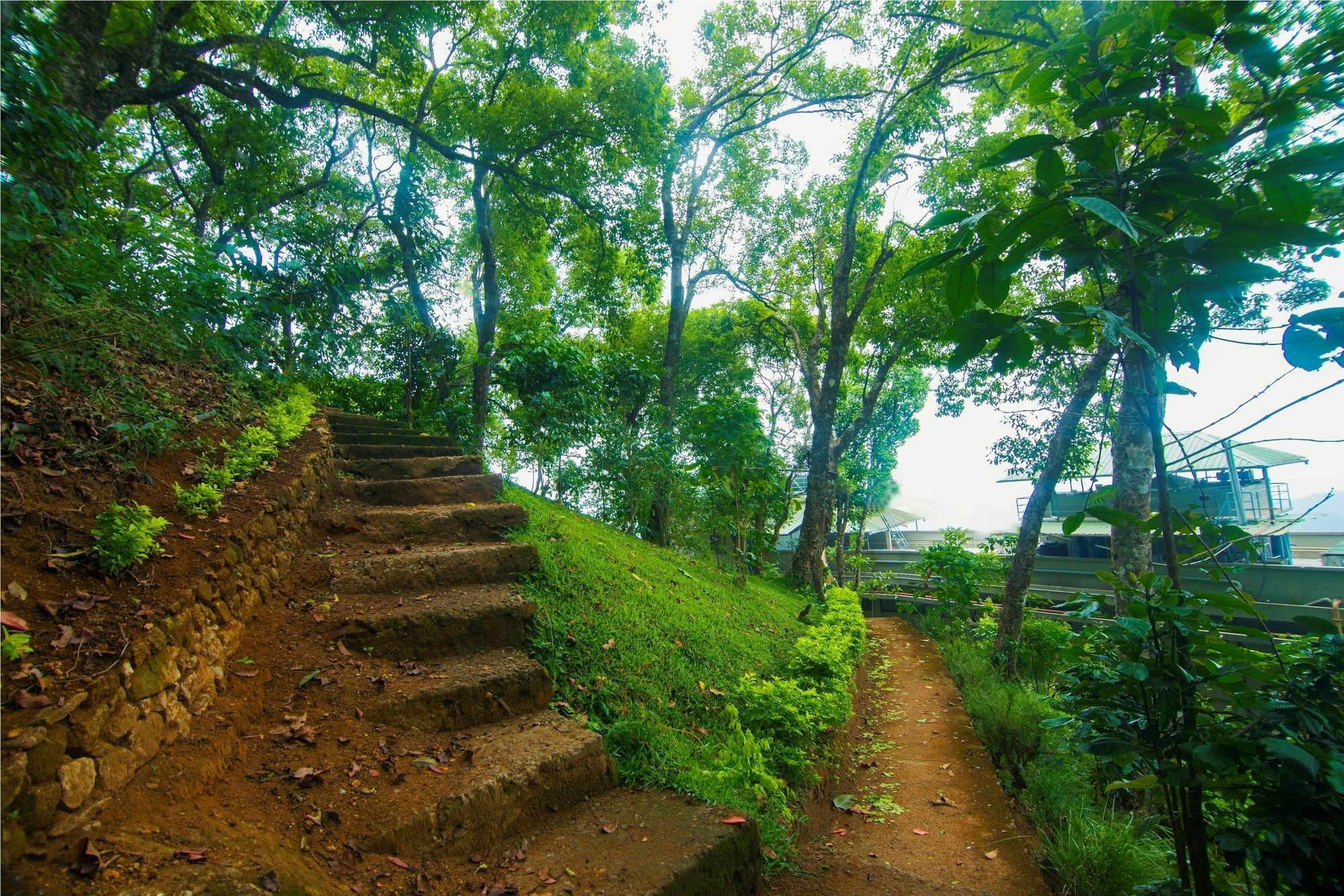 Forest Glade Resorts Chithirapuram Exterior photo