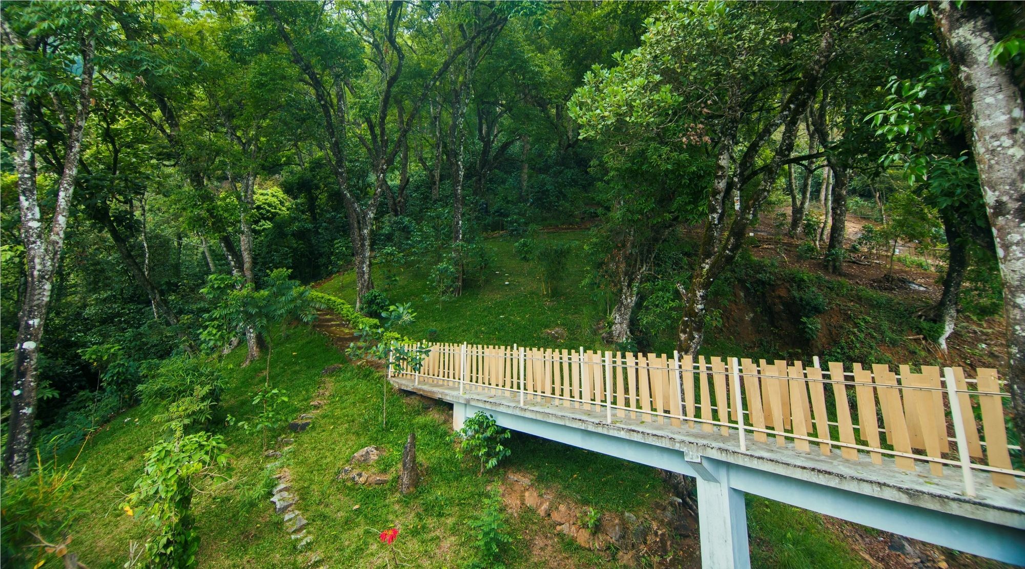 Forest Glade Resorts Chithirapuram Exterior photo